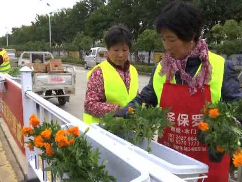 创建国家园林县城 砀山护栏花卉点缀文明