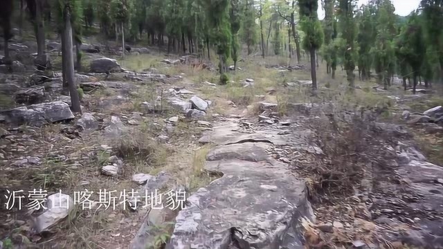 沂蒙山腹地的喀斯特地貌,山路崎岖,松树密集,山上风景美不胜收