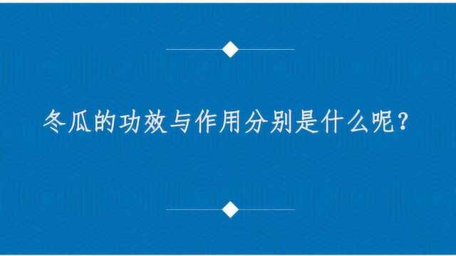 冬瓜的功效与作用分别是什么呢?