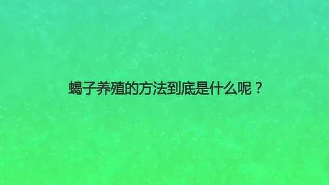 蝎子养殖的方法到底是什么呢?