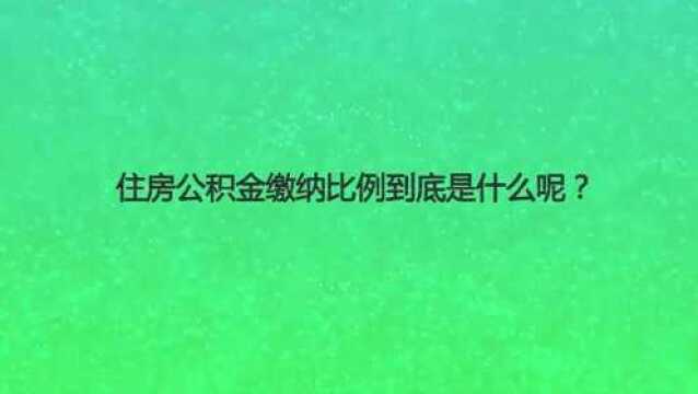 住房公积金缴纳比例到底是什么呢?