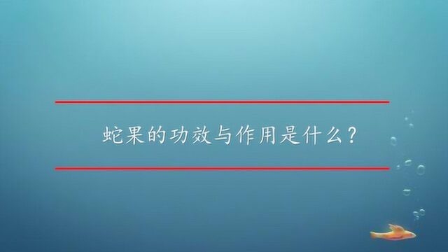 蛇果的功效与作用是什么?