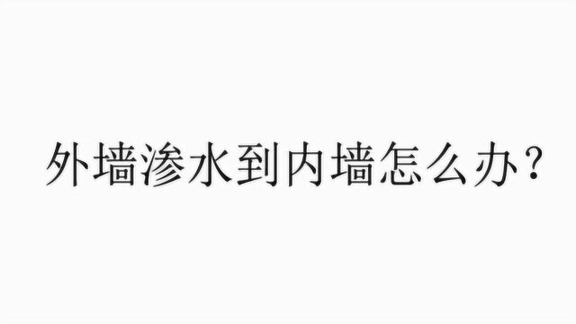 外墙渗水到内墙怎么办呢?