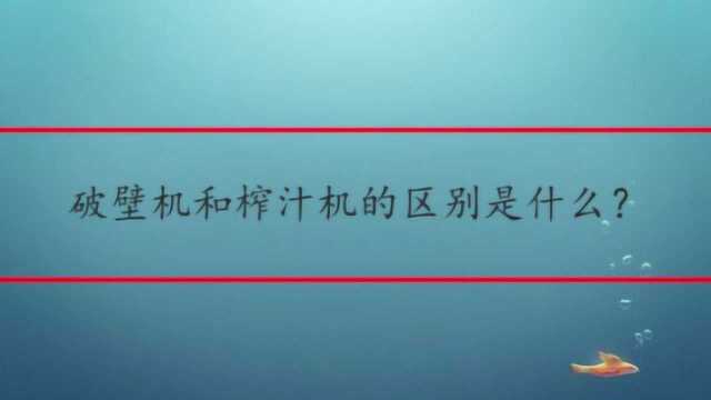 破壁机和榨汁机的区别是什么?