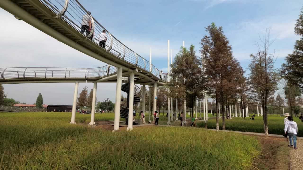 澧县城头山国家考古遗址公园