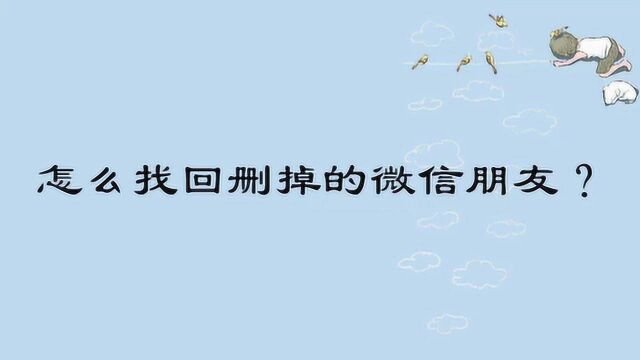 怎么找回删掉的微信朋友?