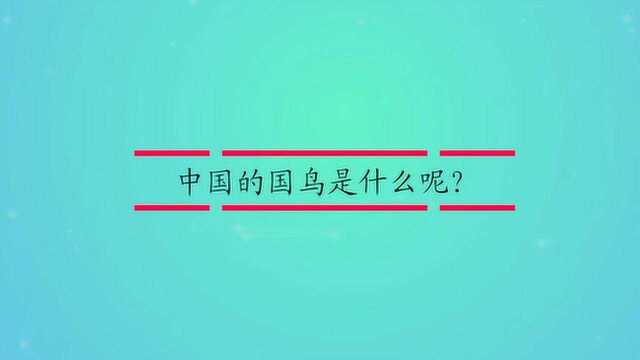 中国的国鸟是什么呢?