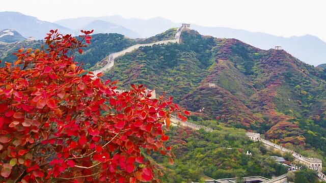 深秋赏红正当时 北京16处赏红好去处等你来打卡