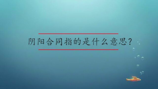 阴阳合同指的是什么意思?