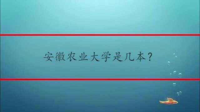 安徽农业大学是几本?