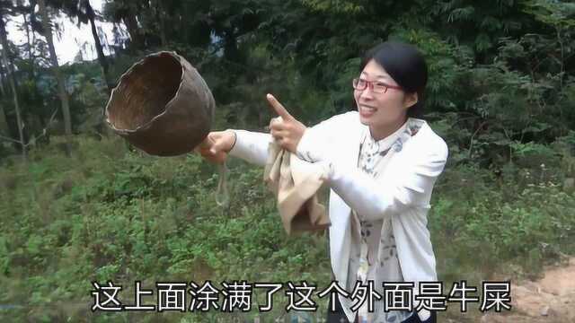 野外发现土蜂,老妈徒手用这种神器把几千只蜜蜂招回家,太神奇了