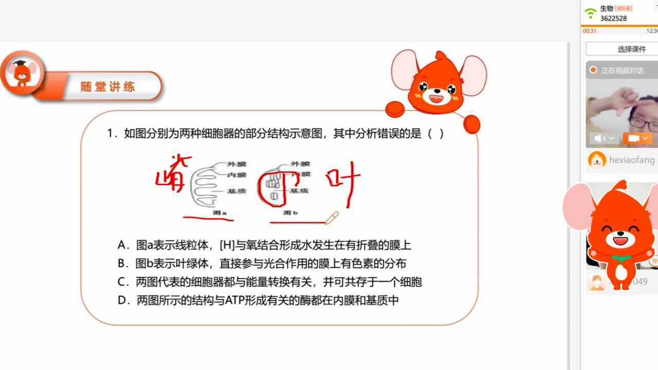 生物细胞的结构腾讯视频}