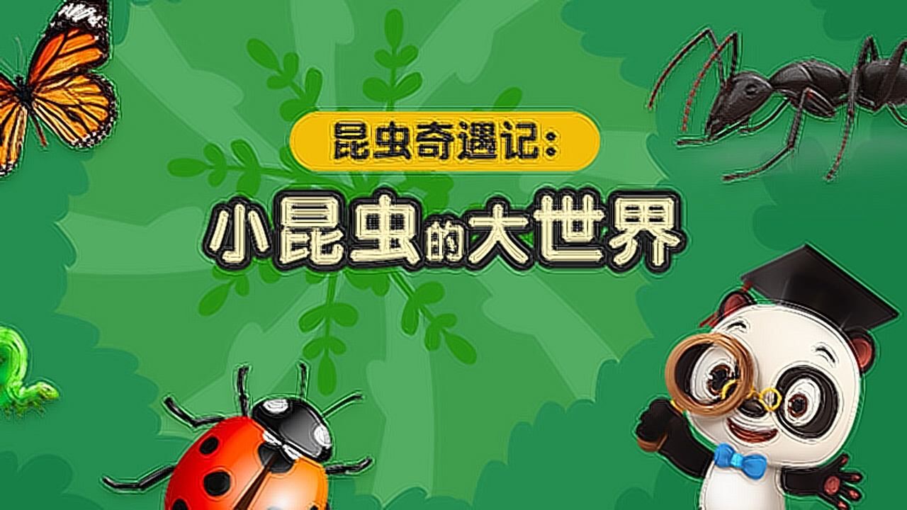 昆虫奇遇记小昆虫的大世界