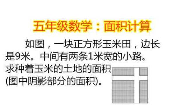 一块正方形玉米田,边长是9米,有两条1米宽小路,求玉米田的面积