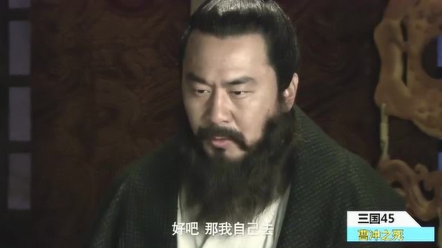 三国四十五 曹冲之死