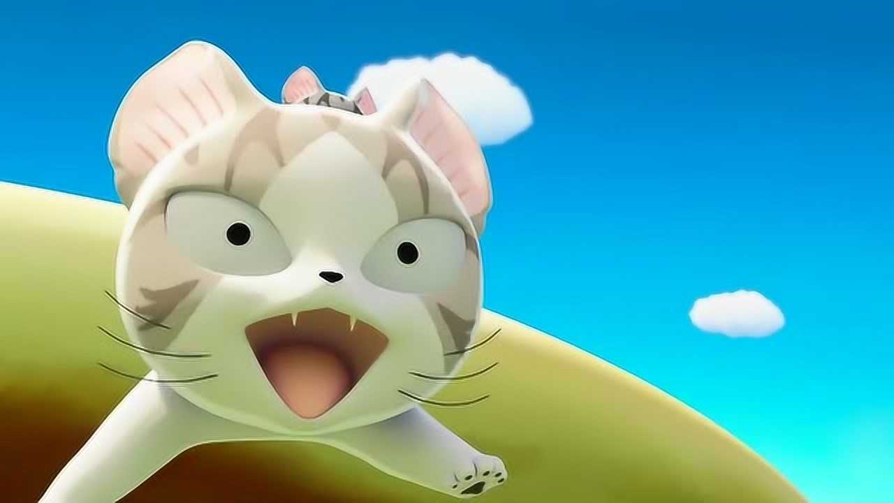 《甜甜私房猫》哇,小奇非常的可爱哦