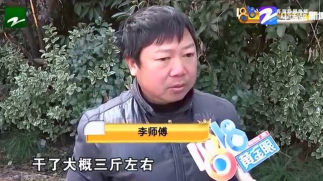 炸了三斤鱼寄给朋友吃 快递遗失圆通却显示已签收