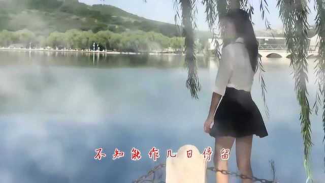 经典音乐,一首《思念》歌甜景美,节奏动感