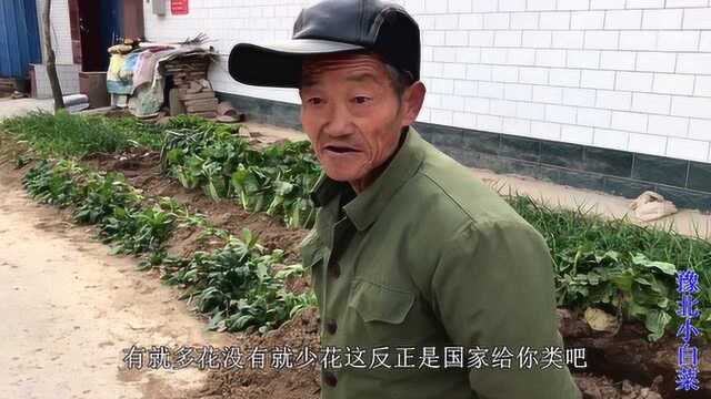 农村单身汉没有五保的话,怎么生活?听60岁爷爷说些什么