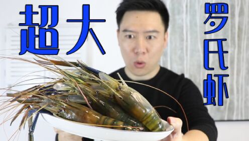试吃罗氏沼虾，每只都比巴掌长，用蒜蓉烤着吃太香了，过瘾
