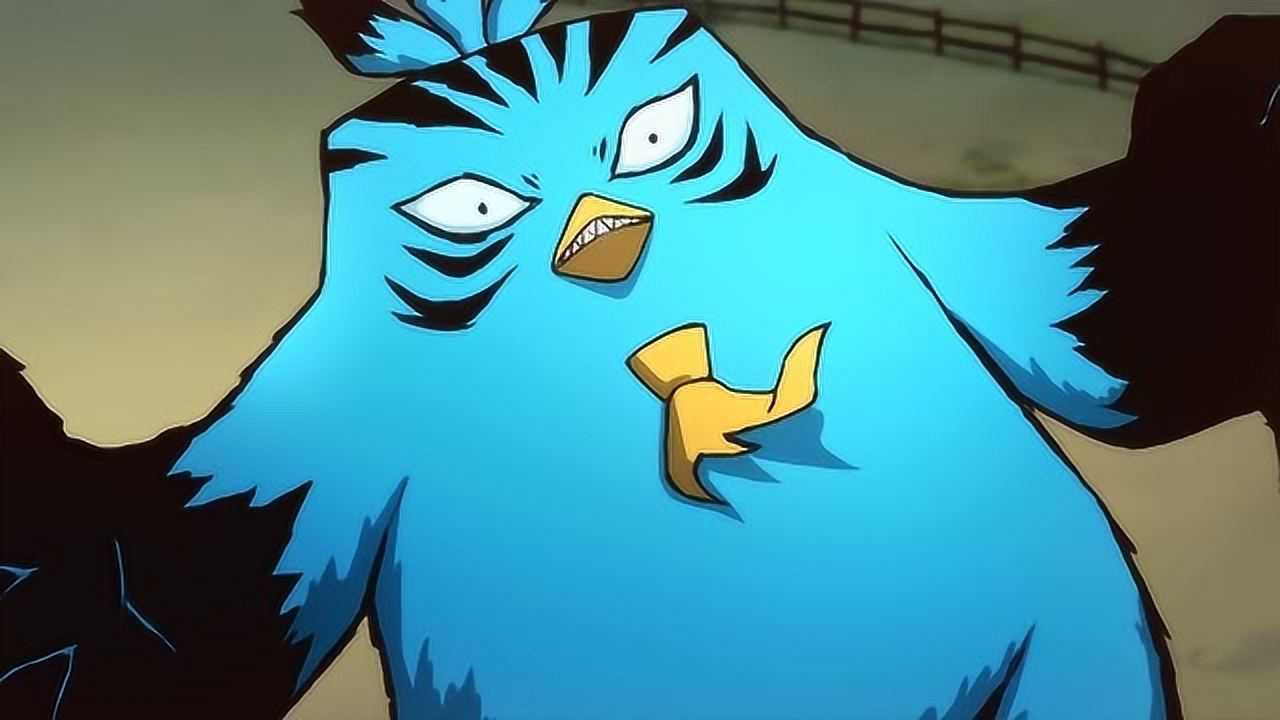 鸡大保成鸡中霸王3秒搞定加强版山鸡王太帅了