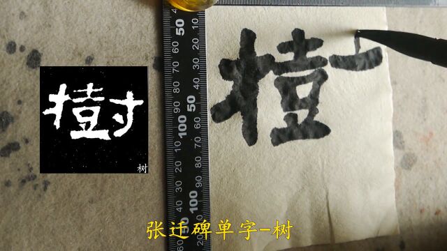 开始临写“树”字,留意结字要左中右平衡