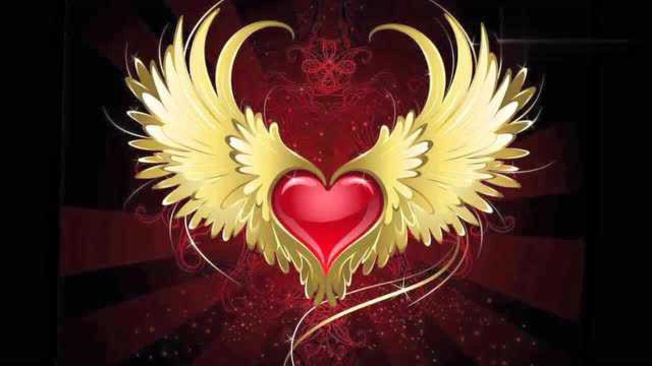 十二星座长出翅膀你觉得谁的最帅