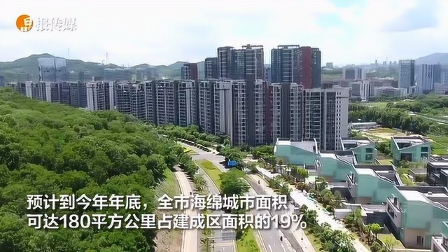 海绵城市建设试点大考 深圳交出了一份满意的答卷