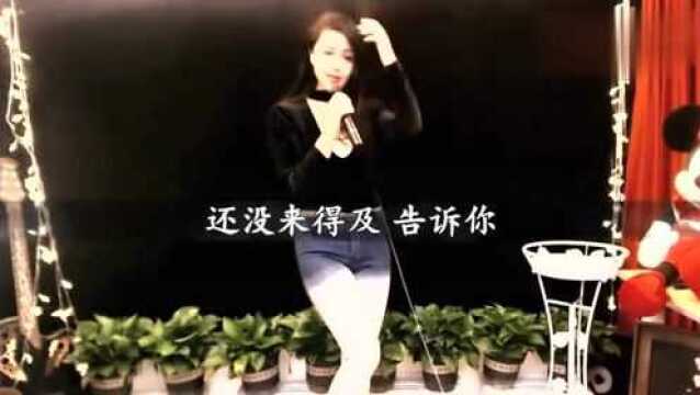 毛惠深情演唱一曲《心上的罗加》越听越伤感,值得回味!