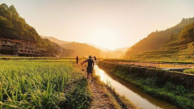 土地新政出台,农村土地升值了,满足这两大大条件,有地就可领钱