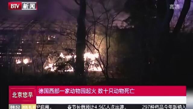 德国西部一家动物园起火 数十只动物死亡