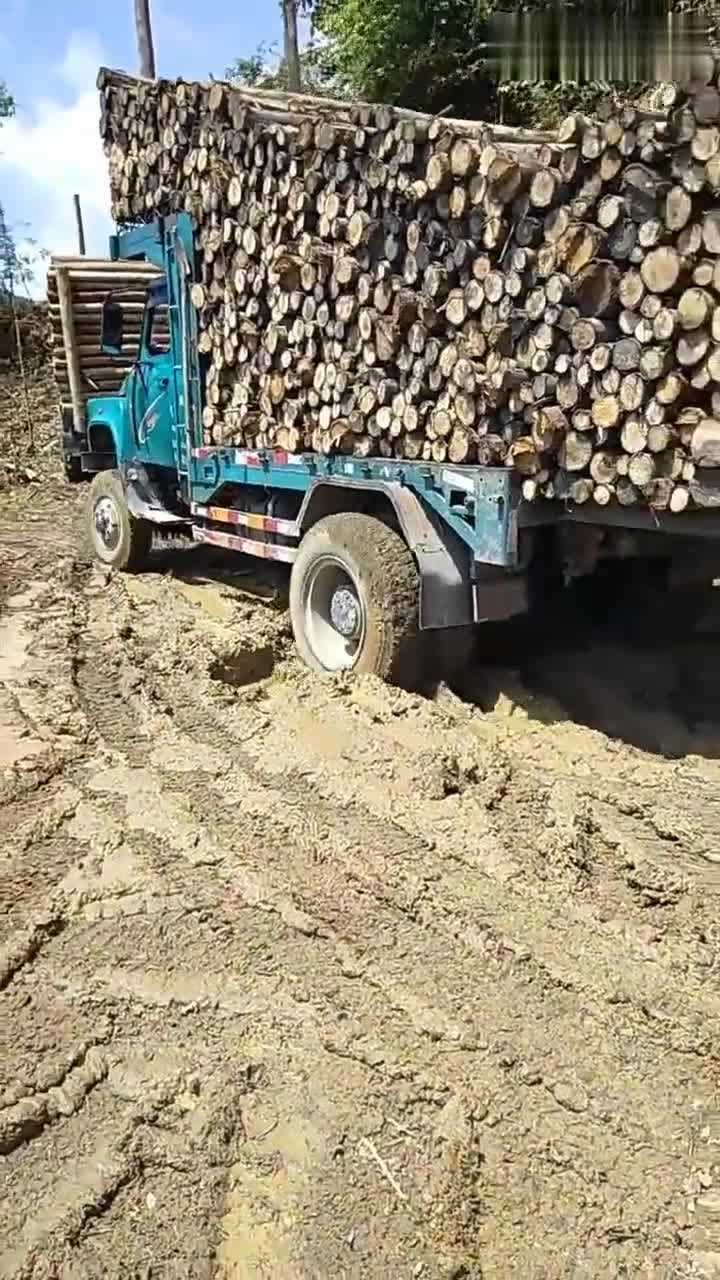 就是这么牛老司机竟然加这么长的尾管拉木头