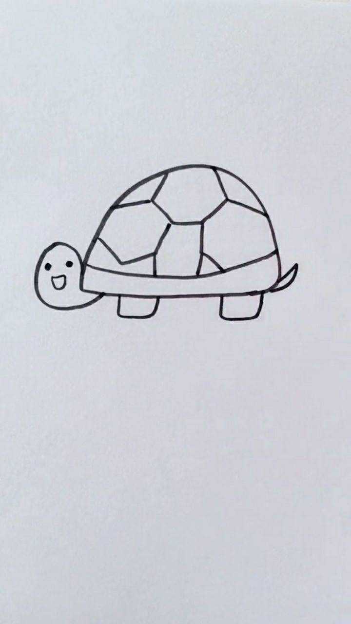 小乌龟四条腿一个尾巴一张嘴简笔画小乌龟