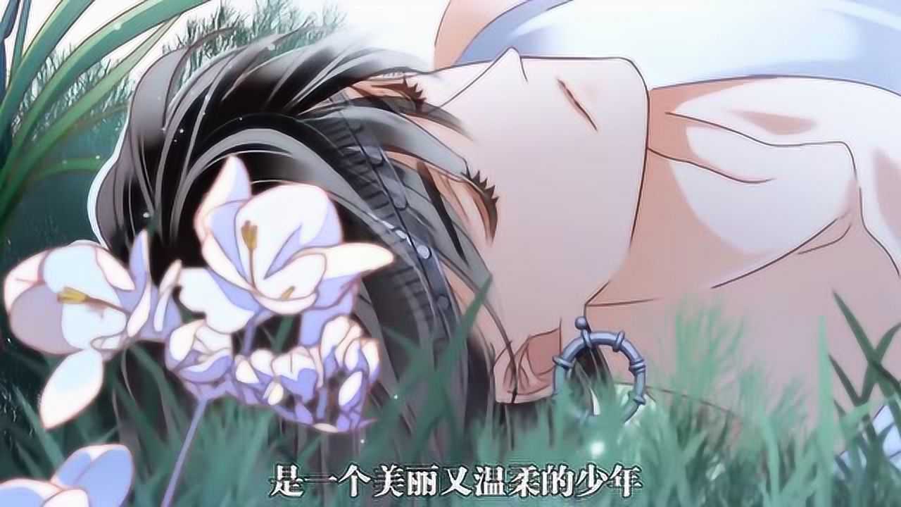 腾讯视频-中国领先的在线视频媒体平台,海量高清视频在线观看