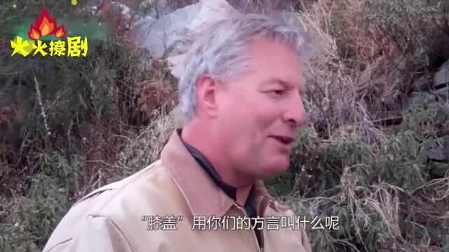 男子在野外发现“长脚的蛇”,专家赶来一瞧,却被逗笑了