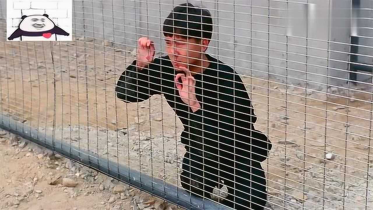 力王独眼蛇看中力王想让他做北仓天王力王不屑一顾