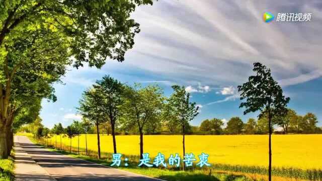 龙千玉经典歌曲《再见阿郎》主题曲!难忘的记忆呀