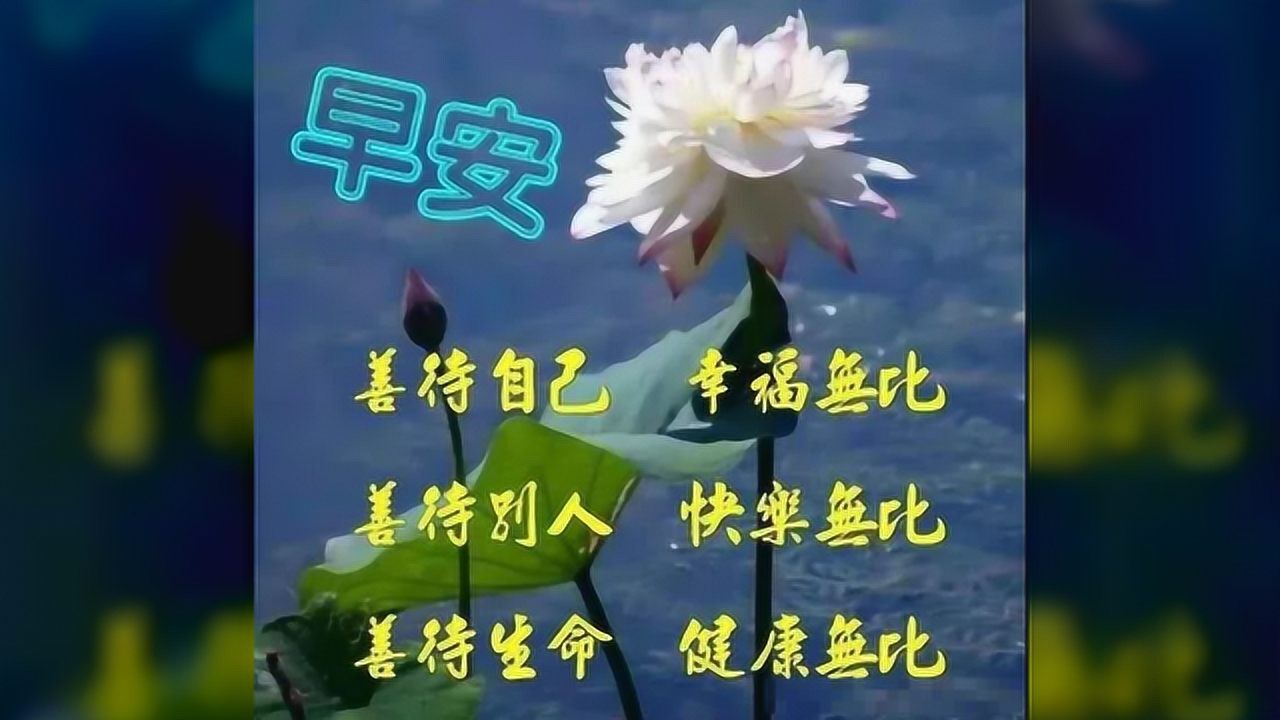 小年早上好新版特漂亮的祝福图片 每天早上发朋友圈的祝福动态表情