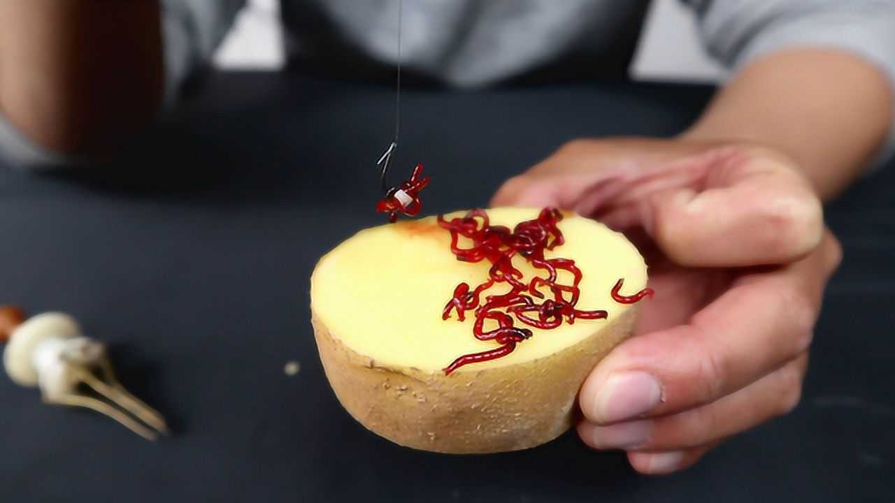 红虫挂钩的两种方法第一种挂钩方便第二种红虫在鱼钩上是活的