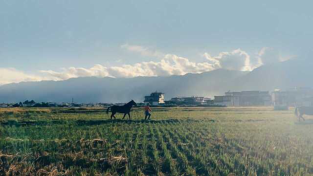 云南农村1000多年的白族小镇风光,住了15天太美了