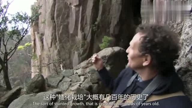 外国人到黄山观看迷人的美景,终于理解了中国园林的设计