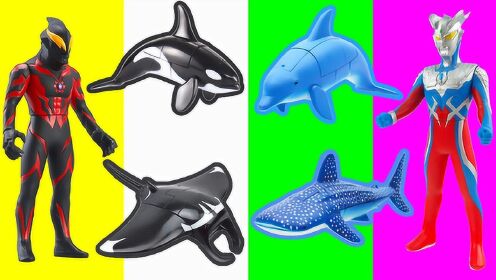 玩具橙子乐园在日本奥特曼海洋动物海豚鲨鱼鲸鱼变形金刚大作战趣味