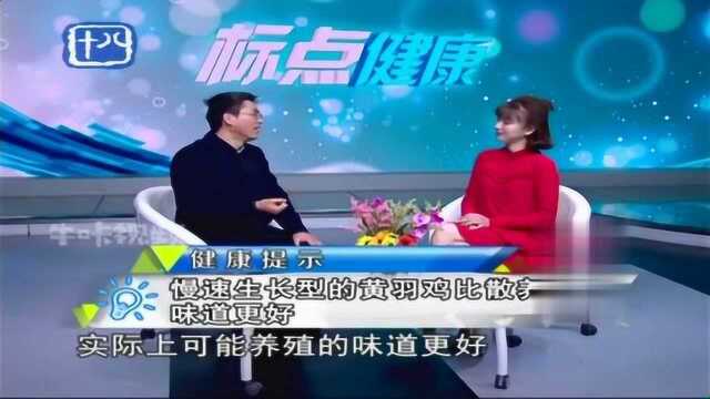 吃鸡小常识:慢速生长型的黄羽鸡,比散养的鸡味道更好