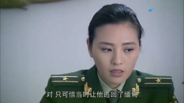 这女的是谁,叫什么,演过什么