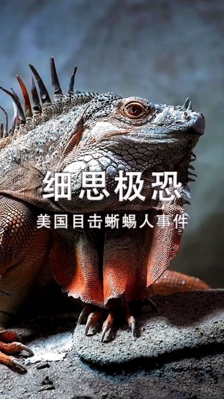 美国目击蜥蜴人事件!