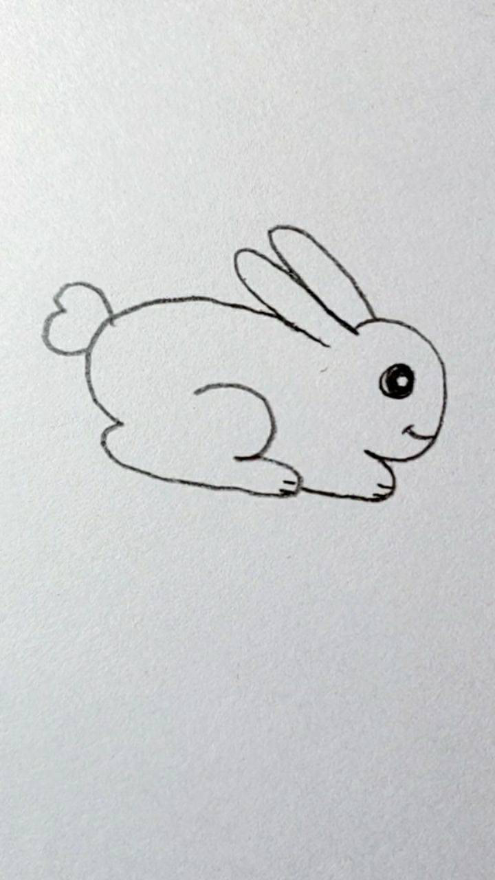 兔子尾巴怎么画简笔画图片