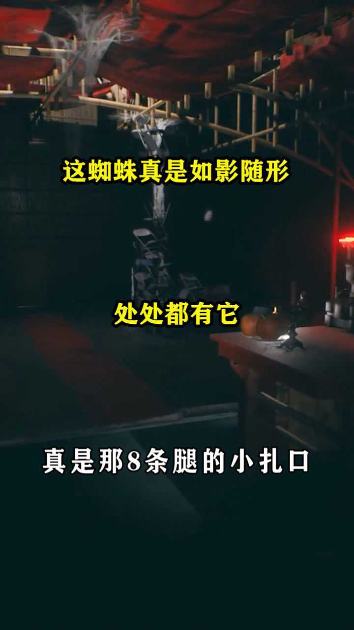 港诡实录这蜘蛛真是如影随形处处都有它