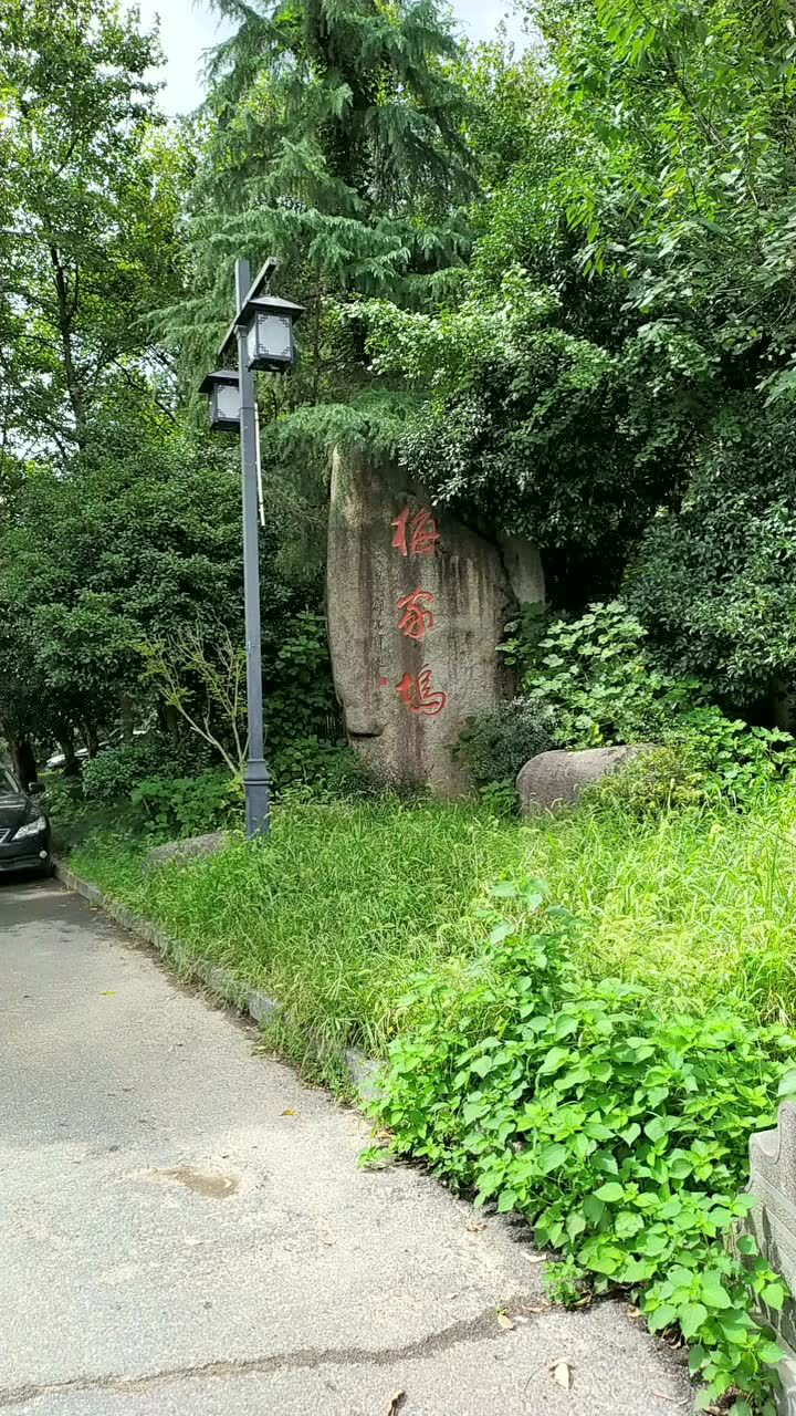 杭州著名景点"梅家坞"