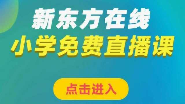 二年级数学4符号的秘密5