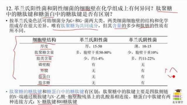 生物化学,王镜岩版,糖类习题12讲解:革兰氏阳性菌和阴性细菌